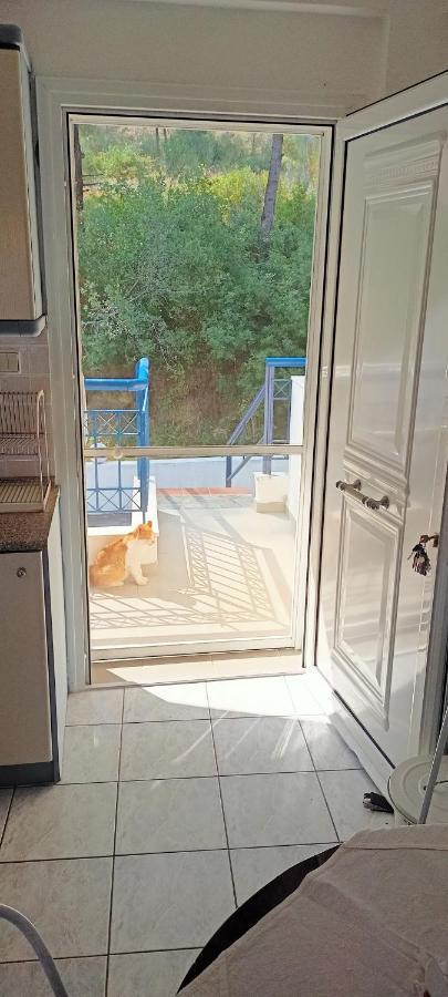 Siviri Sea & Forest-Cozy Apartment With Garden & Nature Views Εξωτερικό φωτογραφία