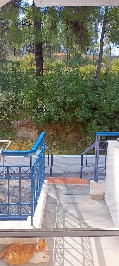 Siviri Sea & Forest-Cozy Apartment With Garden & Nature Views Εξωτερικό φωτογραφία